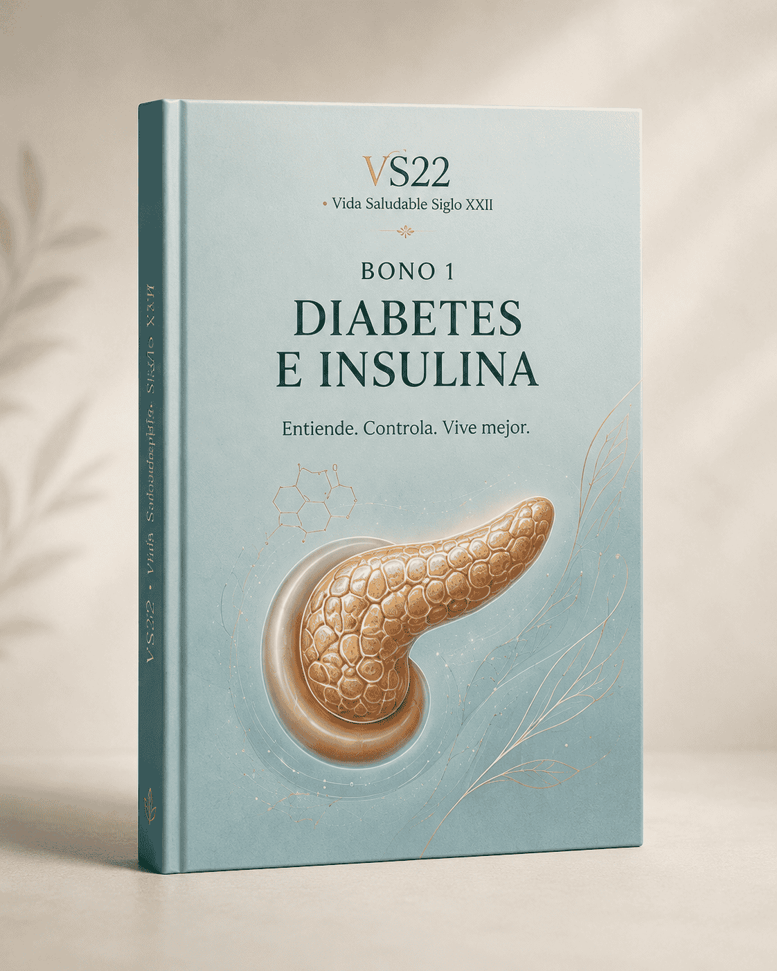 Portada de Diabetes e insulina