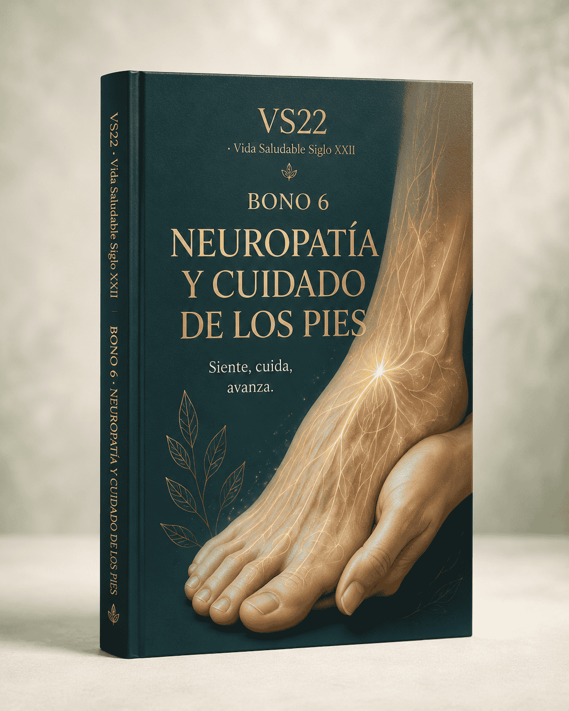 Portada de Neuropatía y cuidado de los pies